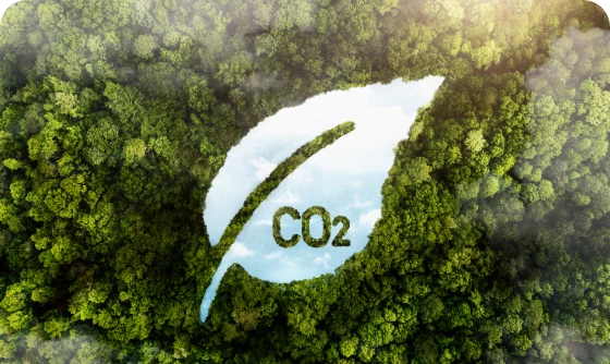 Reducción de la Huella de Carbono
